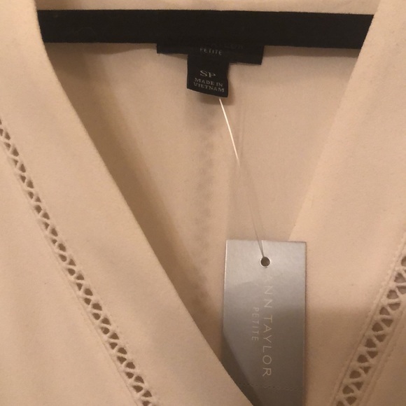 Ann Taylor Light Creme Dress. SP. NWT - Picture 3 of 5